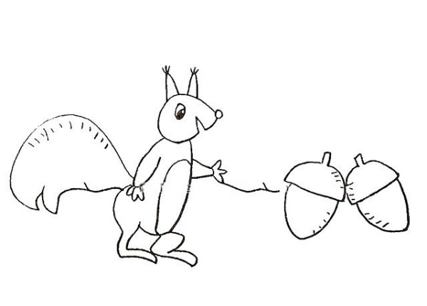 Learn to draw a squirrel step by step