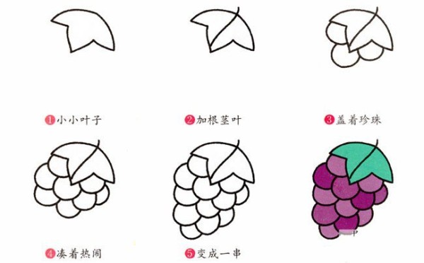 A complete collection of simple drawing tutorials. Steps to draw grapes in simple strokes.