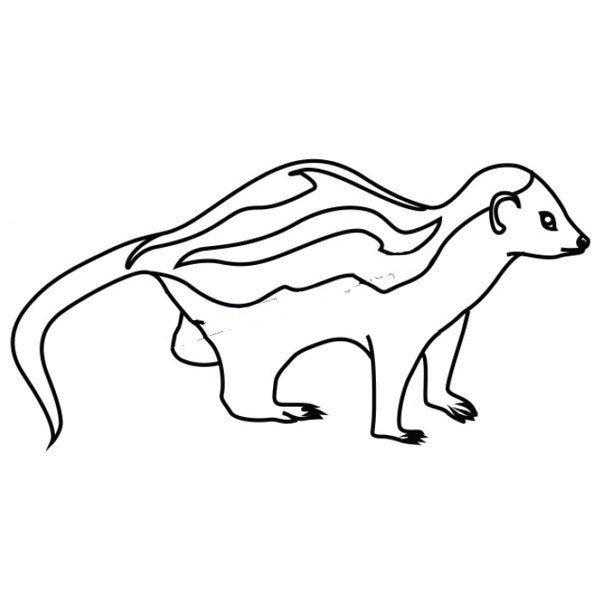 African weasel simple strokes drawing tutorial