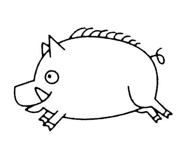 Wild boar simple drawing examples and steps