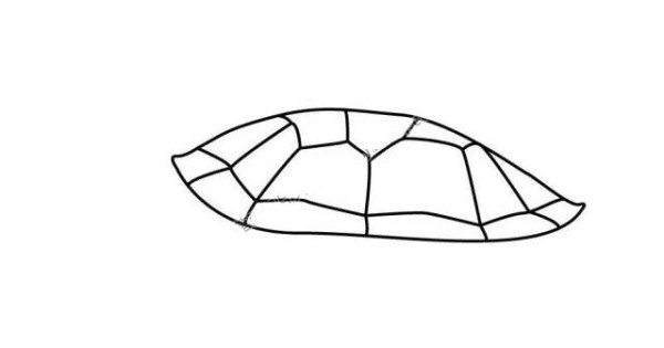 Learn to draw step by step: turtle