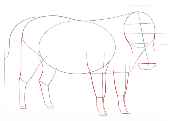 How to Draw a Warthog