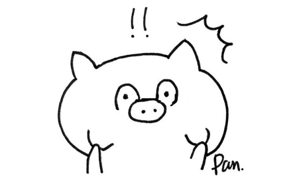 Cute pig expression