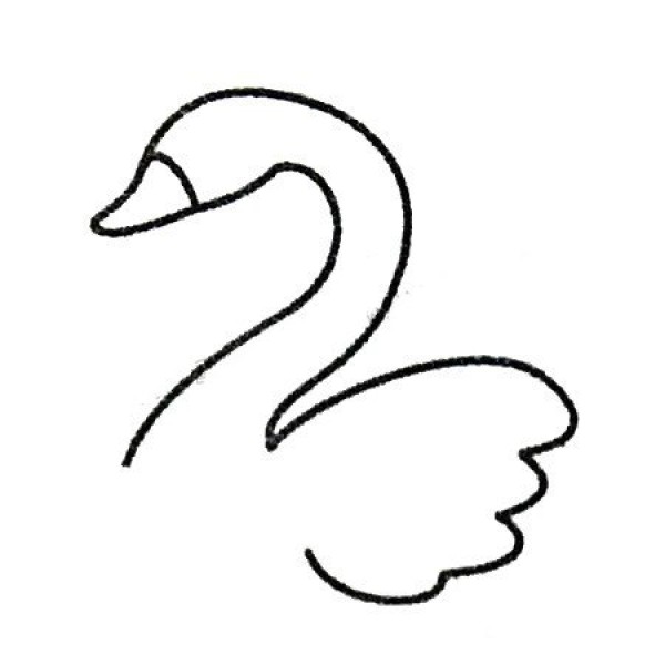 Complete collection of swan simple strokes and drawing steps