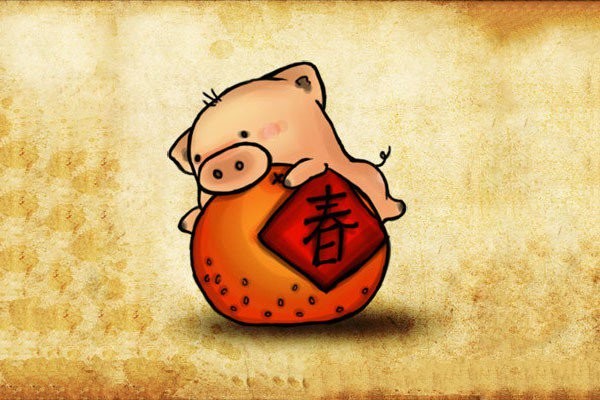 Cute little pig in the Year of the Pig