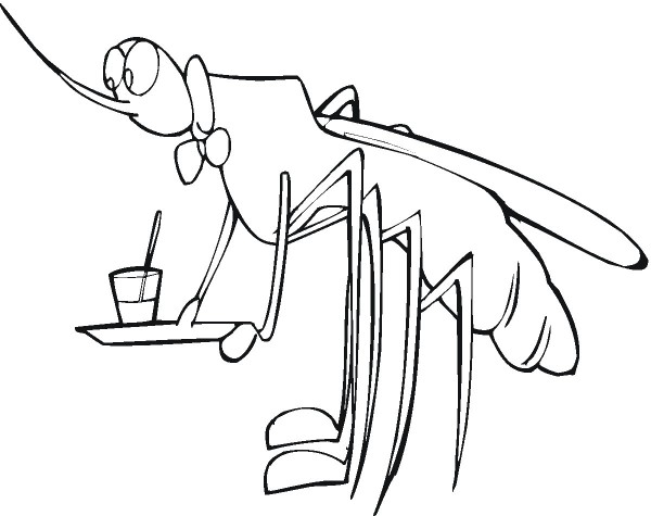 Cartoon mosquito simple drawing picture