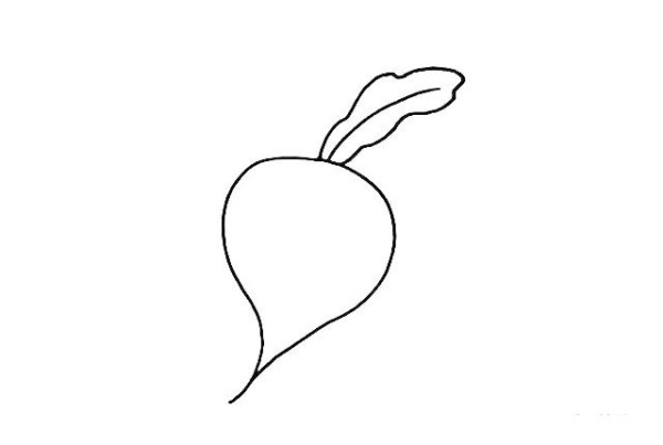 How to draw a radish in simple strokes