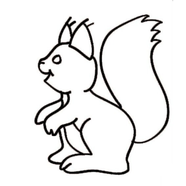 Children learn to draw squirrels