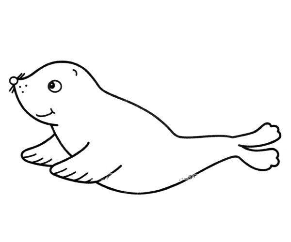 Cute little seal simple strokes picture