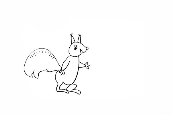 How to draw a little squirrel