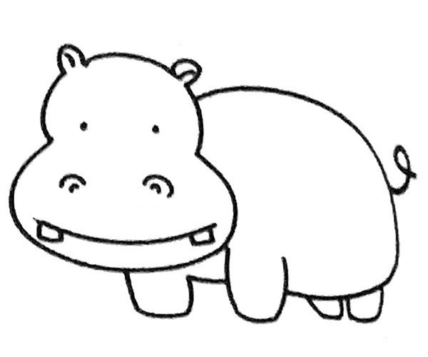 Learn to draw a hippopotamus in four steps