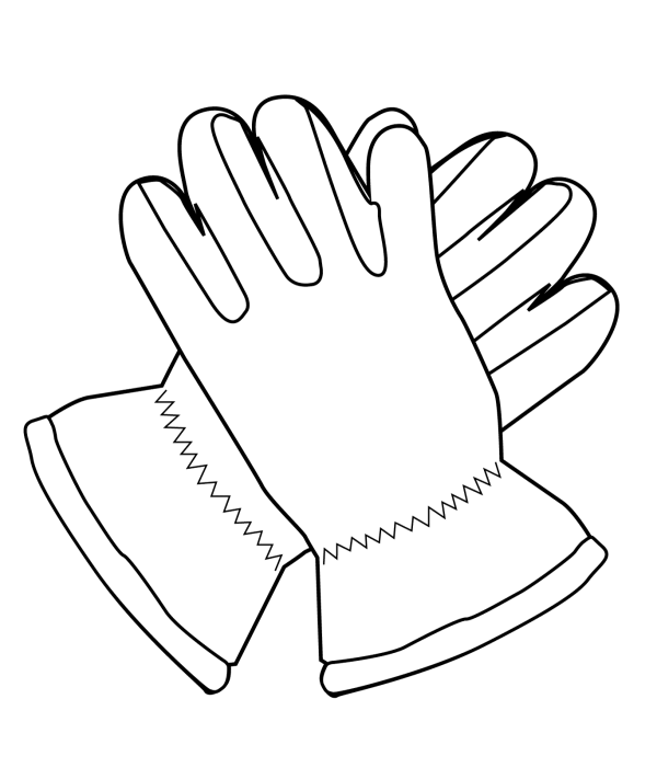 a pair of gloves