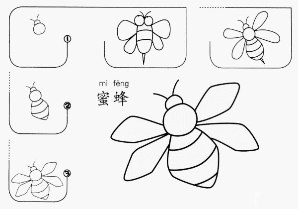 How to draw a bee