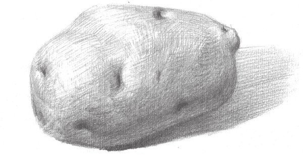 Drawing Techniques of Sketching Potatoes