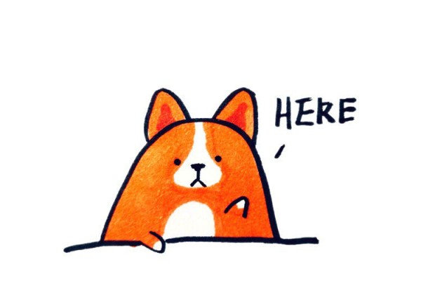 Cute fat corgi simple strokes picture