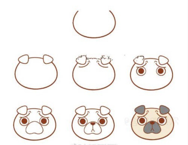 Step-by-step diagram of how to draw the heads of 8 types of puppies