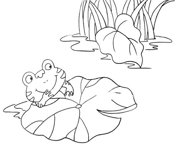 frog and lotus leaf