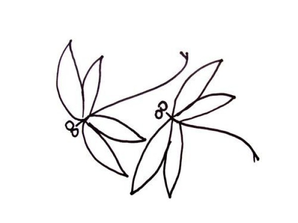 Simple drawing method of dragonfly