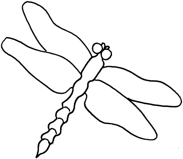 dragonfly outline drawing