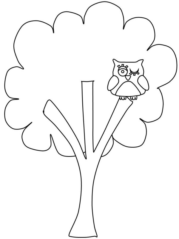 Banyan tree and owl simple drawing