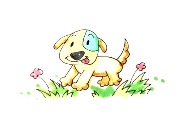 puppy on lawn