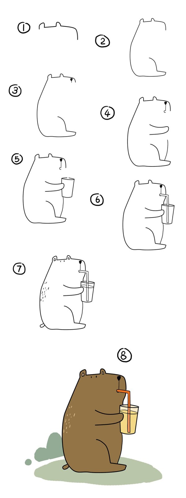 bear drinking drink