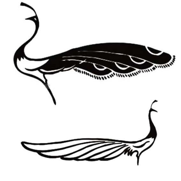 Simple drawing pattern of peacock