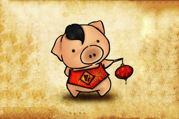 Cute little pig in the Year of the Pig