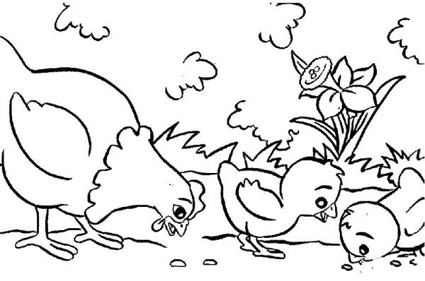 A group of chickens are pecking