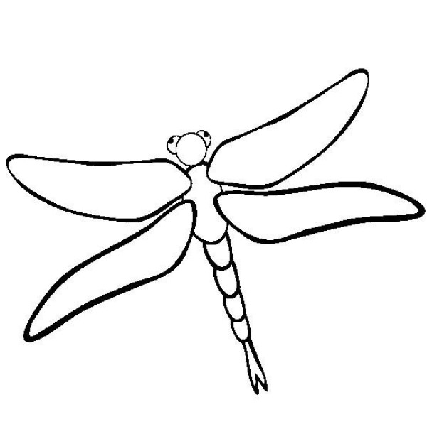 Insect pictures Dragonfly simple drawing pictures