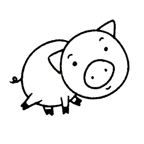 Cute little pig simple drawing picture