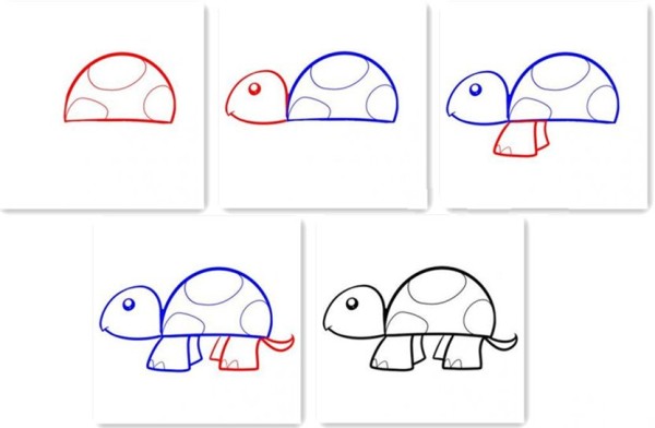 How to draw a turtle