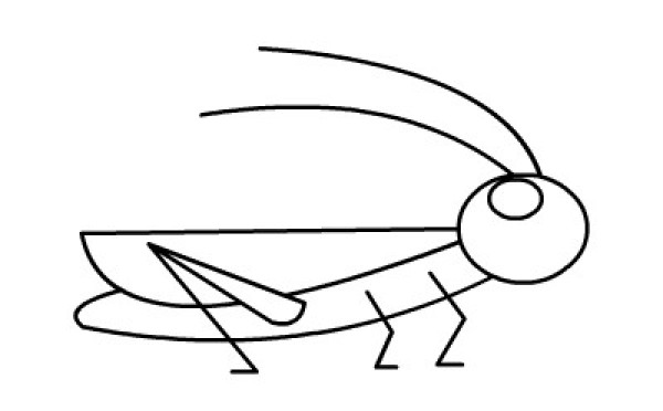 How to draw a simple locust for children