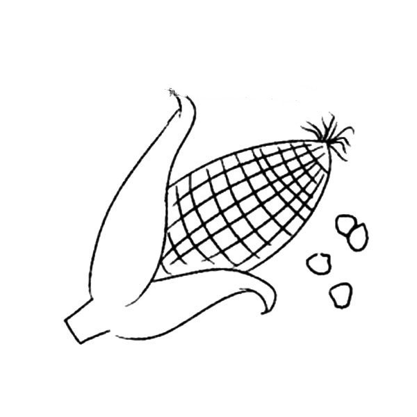 Beautiful simple picture of corn