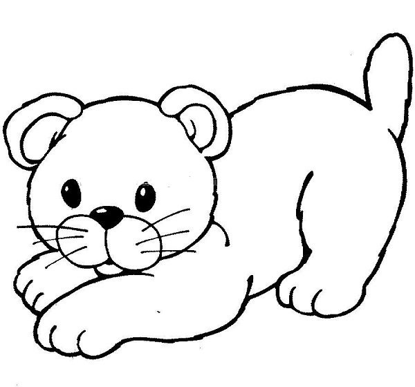 Cute little lion simple drawing picture