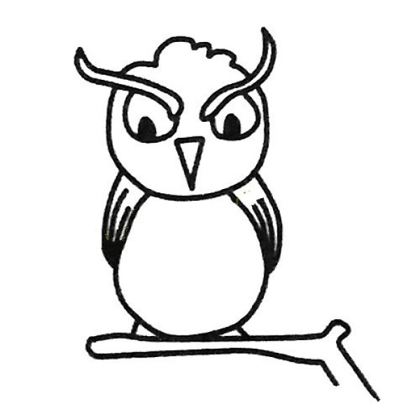 Cute animal simple drawing Owl simple drawing tutorial