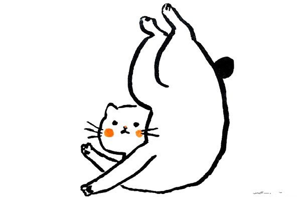 A set of simple drawings of fat cats