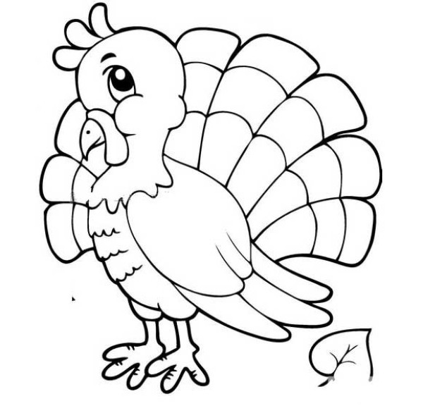 Turkey simple drawing picture