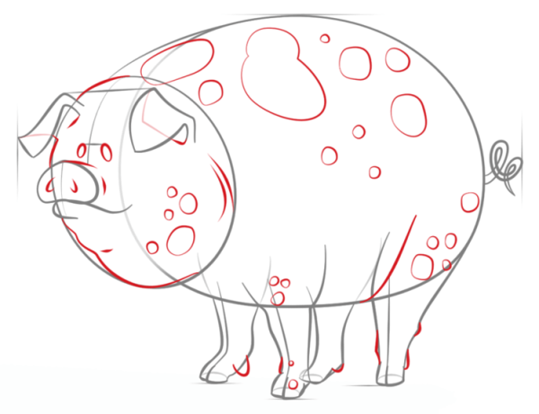 How to Draw a Cartoon Pig Simple Drawing