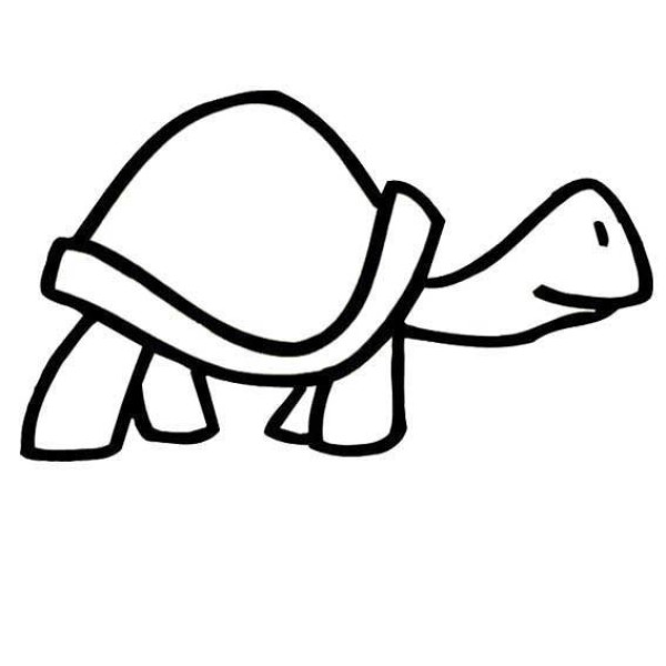 How to draw a turtle with simple strokes for children