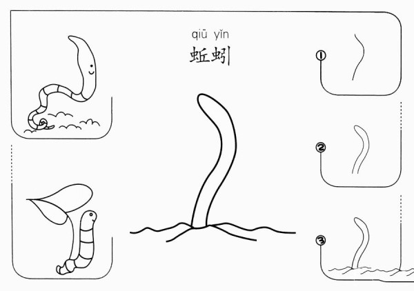 How to draw earthworms