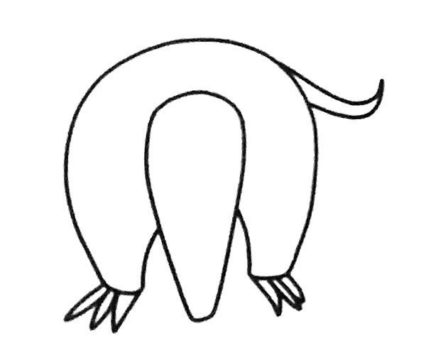 Learn to draw an anteater in four steps