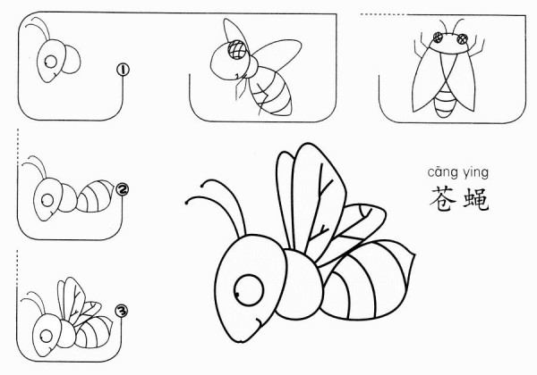 How to draw a fly