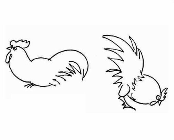 Complete collection of simple strokes of chicken