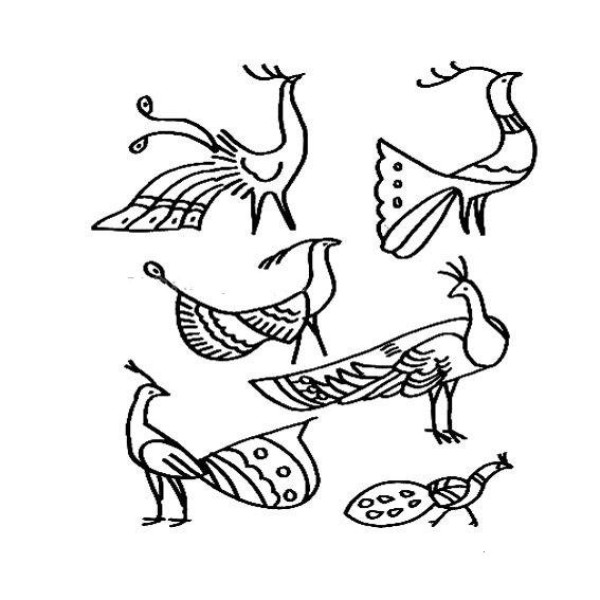 Four simple drawings of peacocks for children