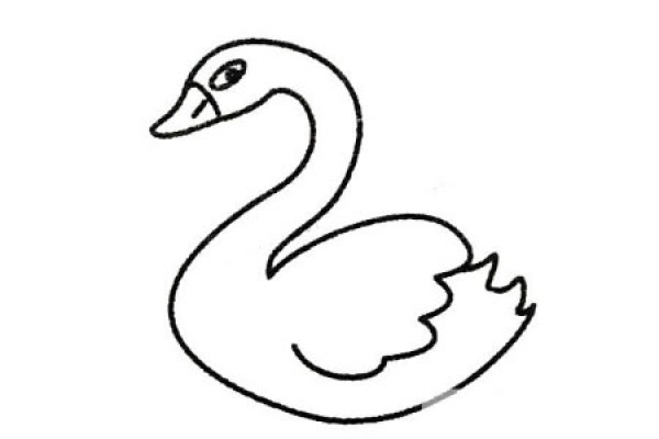 Complete collection of swan simple strokes and drawing steps