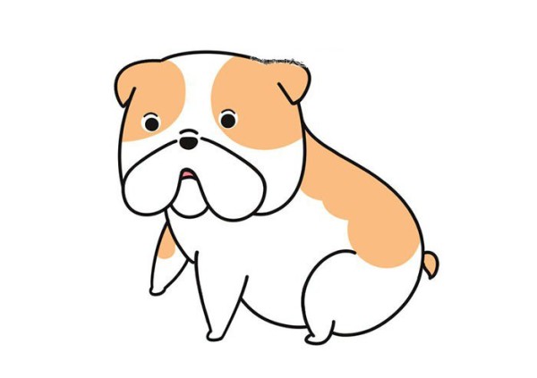 Draw a super cute bulldog