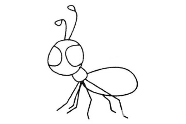 A complete collection of simple ant drawing pictures and drawing steps