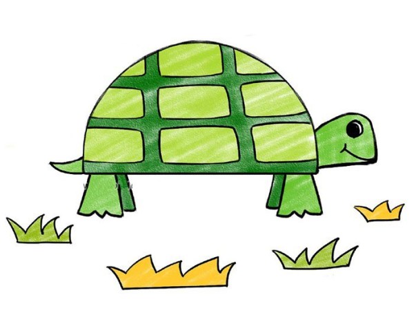 How to draw a cute little turtle in nine steps