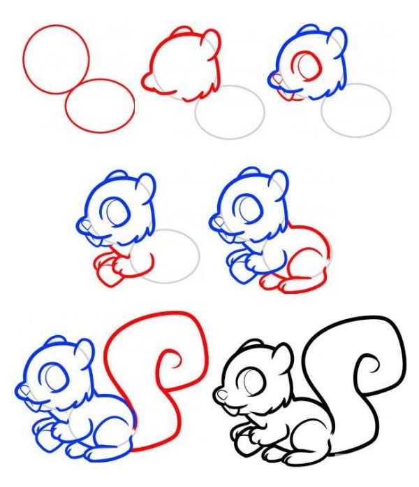 Simple drawing tutorial of a little squirrel eating pine cones